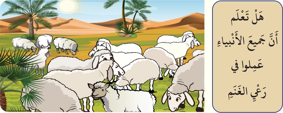 رسم من الكتاب يرافق عَمَلُ سَيِّدِنا مُحَمَّدٍ ﷺ في رَعْيِ الغَنَمِ