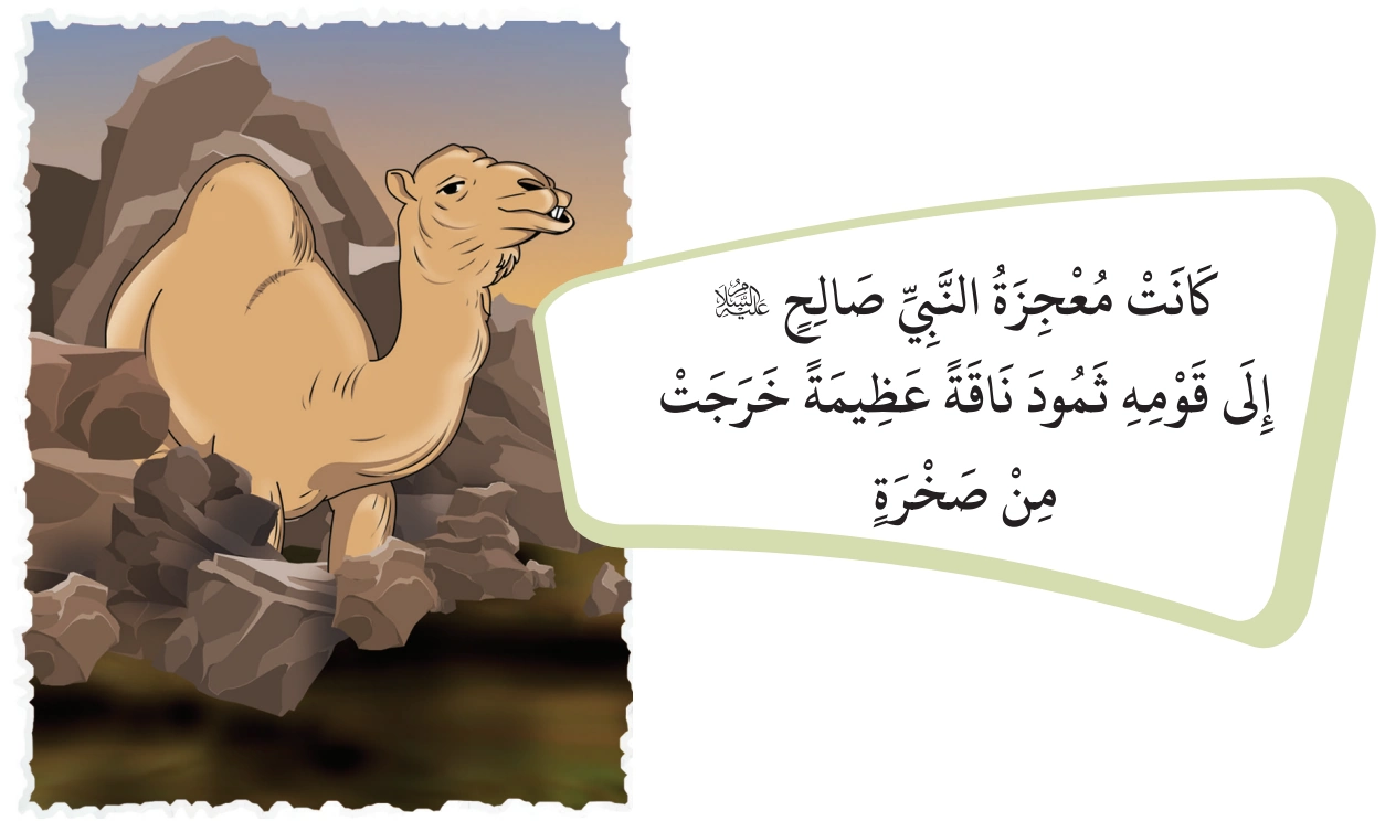 رسم من الكتاب يرافق العِقَابُ الإِلَهِيُّ لِلْأَقْوَامِ المُكَذِّبَةِ لِلرُّسُلِ وَالأَنْبِيَاءِ